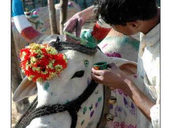 Gay Gauhari's集会