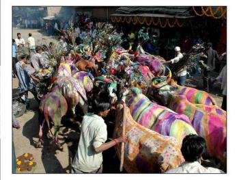 Gay Gauhari's集会