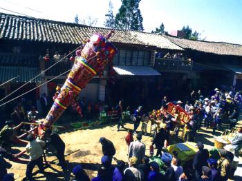 一根大香有5米多高，200余公斤重，要十多个壮劳力才拉的动