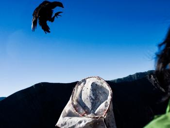 HPA8DP-0408-东爪哇腾格尔人的祭祀12