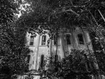 加尔各答殖民时期的欧式建筑13